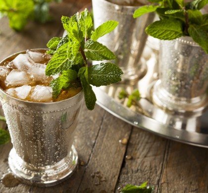 Mint Julep for Derby Day